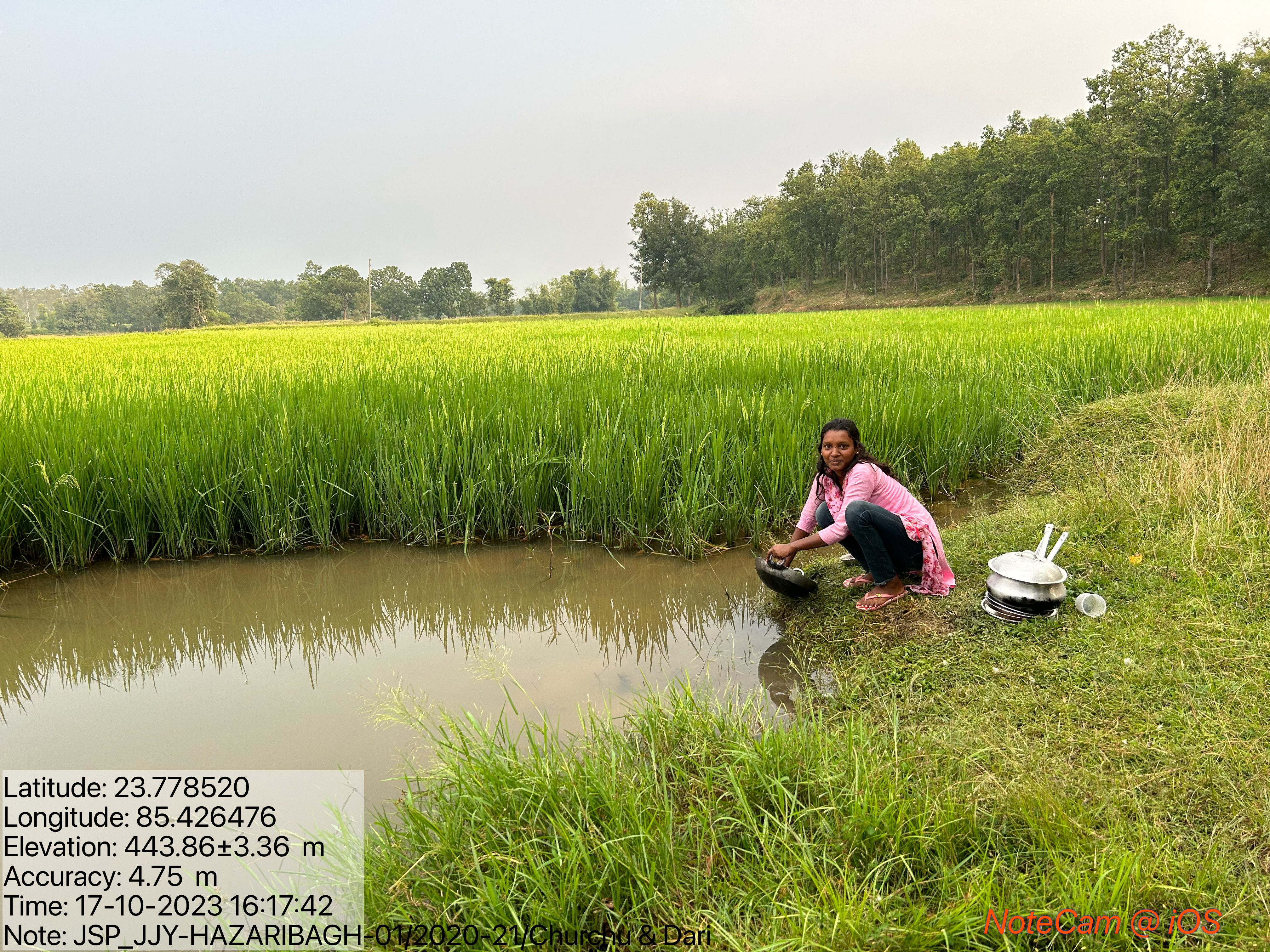 Water-Secure Farms, Sustainable Livelihoods:- Under the Jharkhand Jalchhajan Yojana, Jan Sewa Parishad supports community-led water management to strengthen agricultural productivity and build sustainable rural livelihoods. 