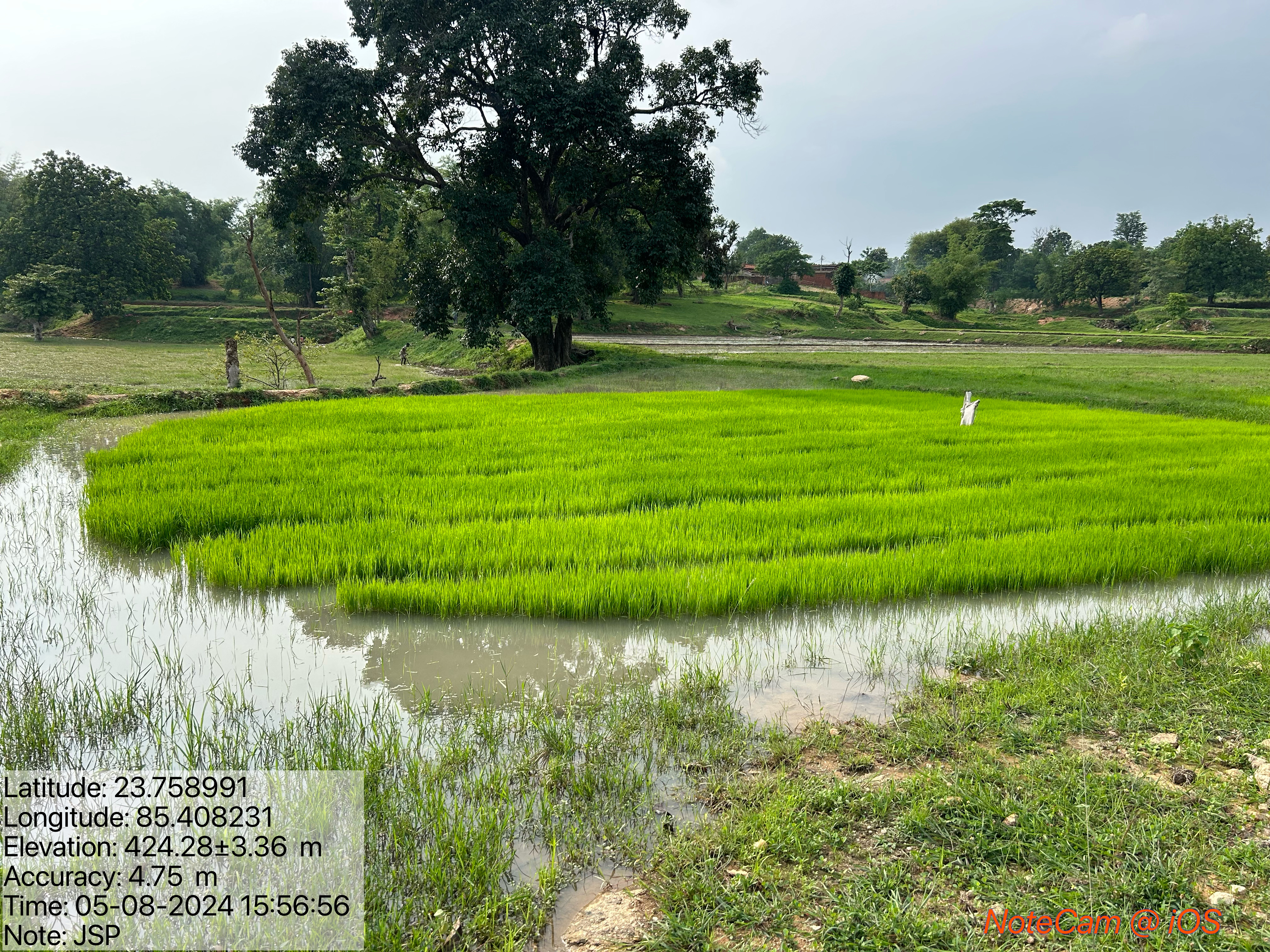 Water for Productive Agriculture:- Effective watershed management helps retain water in the landscape, support cultivated fields, and create better conditions for sustainable farming.